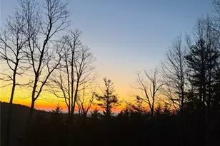 368 Wildcat Estates Dr, Deep Gap, NC 28618 - Photo 49