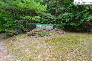 368 Wildcat Estates Dr, Deep Gap, NC 28618 - Photo 47