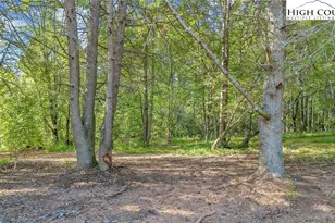 324 Center Ln, Thurmond, NC 28683 - Photo 11