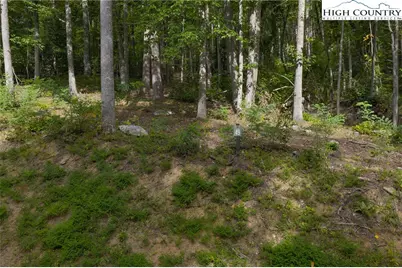 Lot 49 Wildcat Wilderness Parkway, Deep Gap, NC 28618 - Photo 27