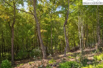 Lot 137 Angelfire Trail, Deep Gap, NC 28618 - Photo 5