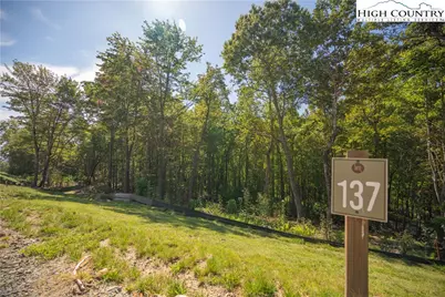 Lot 137 Angelfire Trail, Deep Gap, NC 28618 - Photo 1