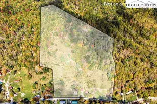 1068 Laurel Branch Rd, Vilas, NC 28692 - Photo 33