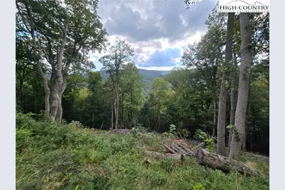 Tbd (Lot 9) Poplar Forest Drive, Boone, NC 28607 - Photo 21