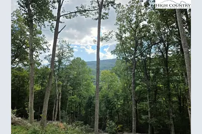 Tbd (Lot 9) Poplar Forest Drive, Boone, NC 28607 - Photo 19