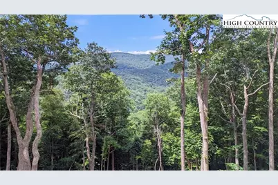 Tbd (Lot 9) Poplar Forest Drive, Boone, NC 28607 - Photo 17