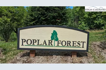 Tbd (Lot 9) Poplar Forest Drive, Boone, NC 28607 - Photo 23
