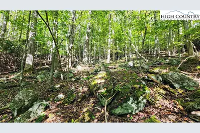 Lot 49 Abaco Drive, Vilas, NC 28692 - Photo 15