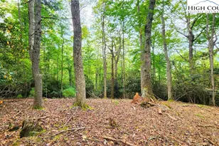 Lot 49 Abaco Dr, Vilas, NC 28692 - Photo 1