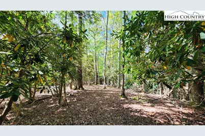 Lot 49 Abaco Drive, Vilas, NC 28692 - Photo 7