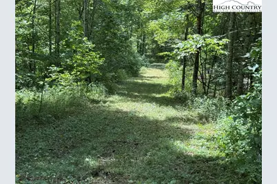 Tbd Bryan Davis Road, Creston, NC 28615 - Photo 13