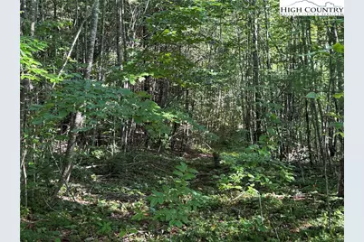 Tbd Bryan Davis Road, Creston, NC 28615 - Photo 37