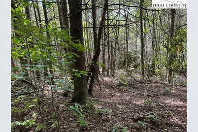 Tbd Bryan Davis Road, Creston, NC 28615 - Photo 11