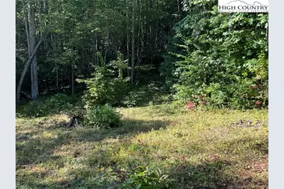 Tbd Bryan Davis Road, Creston, NC 28615 - Photo 35