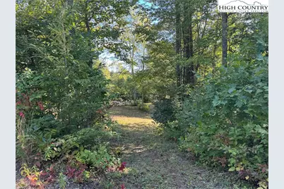 Tbd Bryan Davis Road, Creston, NC 28615 - Photo 41