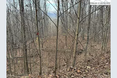 Tbd Sonterra Drive, Lansing, NC 28643 - Photo 9