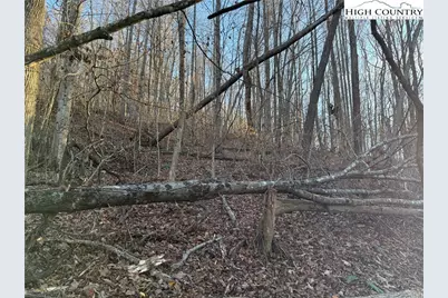 Tbd Sonterra Drive, Lansing, NC 28643 - Photo 15