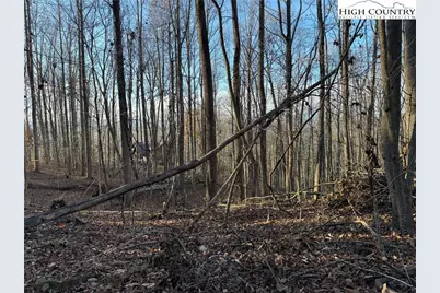 Tbd Sonterra Drive, Lansing, NC 28643 - Photo 17