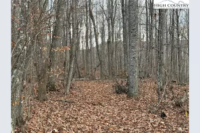 Tbd Sonterra Drive, Lansing, NC 28643 - Photo 3