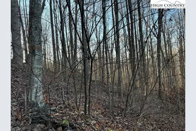 Tbd Sonterra Drive, Lansing, NC 28643 - Photo 19