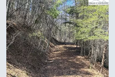 Tbd Lot 30 Shawnee Trail, Jefferson, NC 28640 - Photo 1