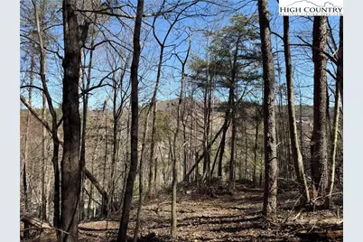 Tbd Lot 30 Shawnee Trail, Jefferson, NC 28640 - Photo 3