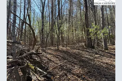 Tbd Lot 30 Shawnee Trail, Jefferson, NC 28640 - Photo 5