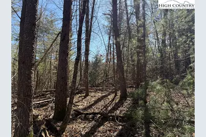 Tbd Lot 30 Shawnee Trail, Jefferson, NC 28640 - Photo 11