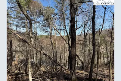 Tbd Lot 30 Shawnee Trail, Jefferson, NC 28640 - Photo 7