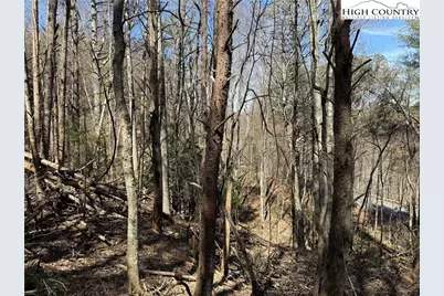 Tbd Lot 30 Shawnee Trail, Jefferson, NC 28640 - Photo 9