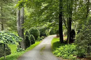 198 Little Harbour, Vilas, NC 28692 - Photo 43