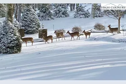 198 Little Harbour, Vilas, NC 28692 - Photo 47