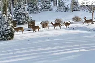 198 Little Harbour, Vilas, NC 28692 - Photo 47