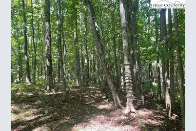 Tbd Highlands Trail, Grassy Creek, NC 28631 - Photo 17