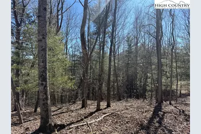 Tbd Highlands Trail, Grassy Creek, NC 28631 - Photo 11