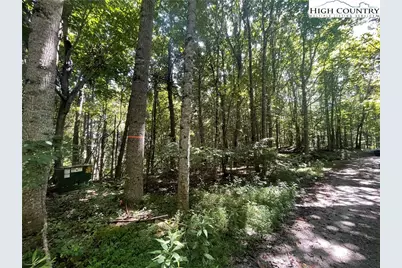 Tbd Highlands Trail, Grassy Creek, NC 28631 - Photo 23