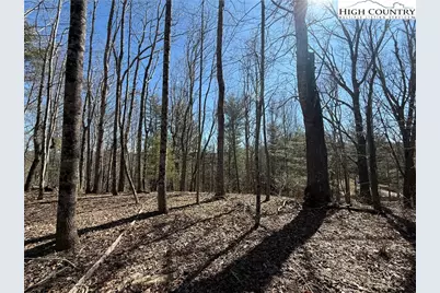 Tbd Highlands Trail, Grassy Creek, NC 28631 - Photo 7