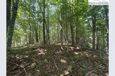 Tbd Highlands Trail, Grassy Creek, NC 28631 - Photo 21