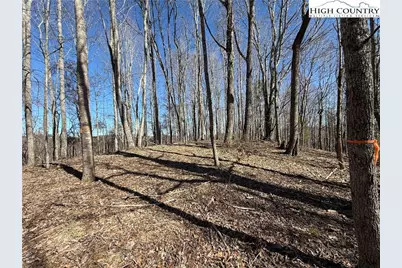 Tbd Highlands Trail, Grassy Creek, NC 28631 - Photo 3