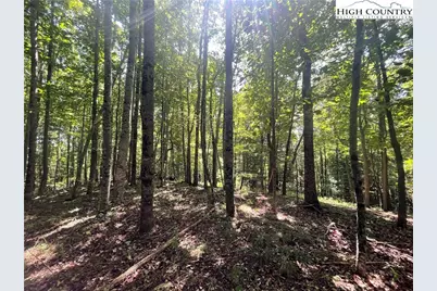 Tbd Highlands Trail, Grassy Creek, NC 28631 - Photo 17