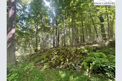 Tbd Highlands Trail, Grassy Creek, NC 28631 - Photo 21