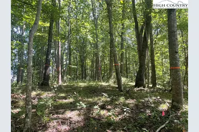 Tbd Highlands Trail, Grassy Creek, NC 28631 - Photo 13