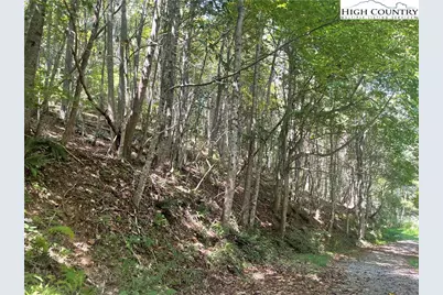 Tbd Highlands Trail, Grassy Creek, NC 28631 - Photo 27
