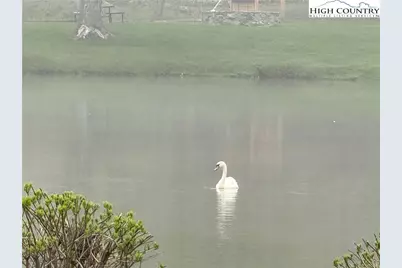 908 Chetola Lake Drive #303 Wren, Blowing Rock, NC 28605 - Photo 25