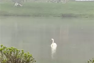 908 Chetola Lake Dr, Blowing Rock, NC 28605 - Photo 25