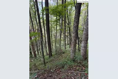 Lot 73 Tbd Poplar Trail, Creston, NC 28615 - Photo 3