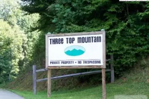 Lot 73 Tbd Poplar Trail, Creston, NC 28615 - Photo 1