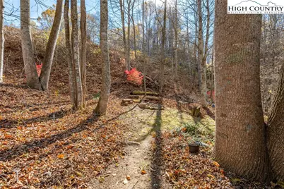 133 Mabel Springs Lane, Zionville, NC 28698 - Photo 31