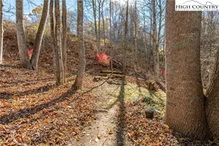 133 Mabel Spgs Ln, Zionville, NC 28698 - Photo 31