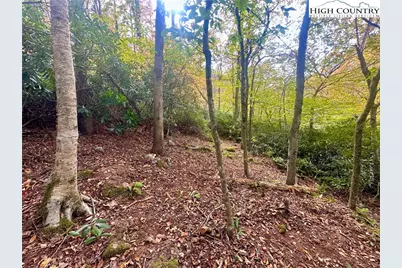 125 Stone Ledge Lane, Blowing Rock, NC 28605 - Photo 11